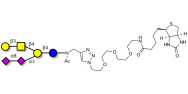 GD1b Ganglioside oligosaccharide linked to biotin (Linker-BT A)