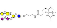 GD1b Ganglioside oligosaccharide linked to biotin (Linker-BT B)