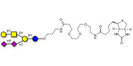 GD1b Ganglioside oligosaccharide linked to biotin (Linker-BT C)