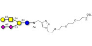 GD1b Ganglioside oligosaccharide grafted on gel for affinity chromatography (Linker-GEL A)