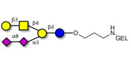 GD1b Ganglioside oligosaccharide grafted on gel for affinity chromatography (Linker-GEL B)