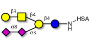 GD1b Ganglioside oligosaccharide grafted on HSA