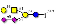 GD1b Ganglioside oligosaccharide grafted on KLH