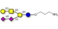 GD1b Ganglioside oligosaccharide with free terminal amine (Linker-NH2 A)
