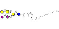 GD1b Ganglioside oligosaccharide with free terminal amine (Linker-NH2 B)