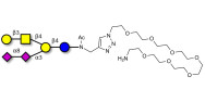 GD1b Ganglioside oligosaccharide with free terminal amine (Linker-NH2 C)