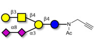 GD1b Ganglioside oligosaccharide with terminal alkyne (Linker-CΞCH A)