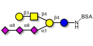 GT1c Ganglioside oligosaccharide grafted on BSA
