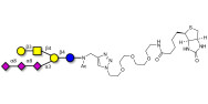 GT1c Ganglioside oligosaccharide linked to biotin (Linker-BT A)