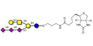 GT1c Ganglioside oligosaccharide linked to biotin (Linker-BT B)