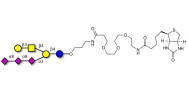 GT1c Ganglioside oligosaccharide linked to biotin (Linker-BT C)