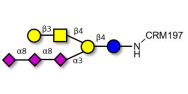 GT1c Ganglioside oligosaccharide grafted on CRM197