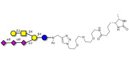 GT1c Ganglioside oligosaccharide linked to desthiobiotin (Linker-DBT-A)