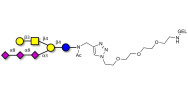 GT1c Ganglioside oligosaccharide grafted on gel for affinity chromatography (Linker-GEL A)