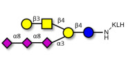 GT1c Ganglioside oligosaccharide grafted on KLH