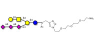 GT1c Ganglioside oligosaccharide with free terminal amine (Linker-NH2 B)