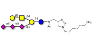 GT1c Ganglioside oligosaccharide with free terminal amine (Linker-NH2 D)