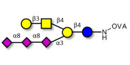 GT1c Ganglioside oligosaccharide grafted on OVA
