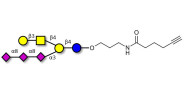 GT1c Ganglioside oligosaccharide with terminal alkyne (Linker-CΞCH C)