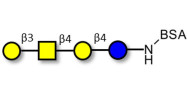 Asialo GM1 Ganglioside oligosaccharide (aGM1) grafted on BSA