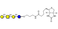 Asialo GM1 Ganglioside oligosaccharide (aGM1) linked to biotin (Linker-BT B)