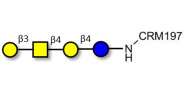 Asialo GM1 Ganglioside oligosaccharide (aGM1) grafted on CRM197