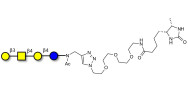 Asialo GM1 Ganglioside oligosaccharide (aGM1) linked to desthiobiotin (Linker-DBT-A)