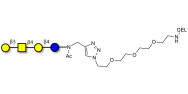 Asialo GM1 Ganglioside oligosaccharide (aGM1) grafted on gel for affinity chromatography (Linker-GEL A)