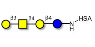 Asialo GM1 Ganglioside oligosaccharide (aGM1) grafted on HSA
