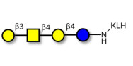 Asialo GM1 Ganglioside oligosaccharide (aGM1) grafted on KLH