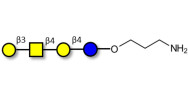 Asialo GM1 Ganglioside oligosaccharide (aGM1) with free terminal amine (Linker-NH2 A)