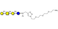 Asialo GM1 Ganglioside oligosaccharide (aGM1) with free terminal amine (Linker-NH2 B)