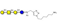 Asialo GM1 Ganglioside oligosaccharide (aGM1) with free terminal amine (Linker-NH2 D)
