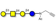 Asialo GM1 Ganglioside oligosaccharide (aGM1) with terminal alkyne (Linker-CΞCH A)