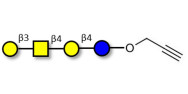 Asialo GM1 Ganglioside oligosaccharide (aGM1) with terminal alkyne (Linker-CΞCH B)