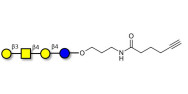 Asialo GM1 Ganglioside oligosaccharide (aGM1) with terminal alkyne (Linker-CΞCH C)