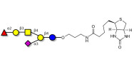 Fucosyl GM1 Ganglioside oligosaccharide linked to biotin (Linker-BT B)
