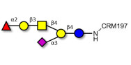 Fucosyl GM1 Ganglioside oligosaccharide grafted on CRM197