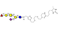 Fucosyl GM1 Ganglioside oligosaccharide linked to desthiobiotin (Linker-DBT-A)