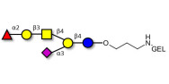 Fucosyl GM1 Ganglioside oligosaccharide grafted on gel for affinity chromatography (Linker-GEL B)