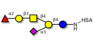 Fucosyl GM1 Ganglioside oligosaccharide grafted on HSA