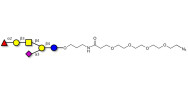 Fucosyl GM1 Ganglioside oligosaccharide with terminal azide (Linker-N3 A)