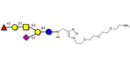 Fucosyl GM1 Ganglioside oligosaccharide with free terminal amine (Linker-NH2 B)