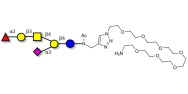 Fucosyl GM1 Ganglioside oligosaccharide with free terminal amine (Linker-NH2 C)