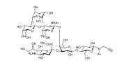 Fucosyl GM1 Ganglioside oligosaccharide with terminal alkyne (Linker-CΞCH A)