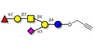 Fucosyl GM1 Ganglioside oligosaccharide with terminal alkyne (Linker-CΞCH B)