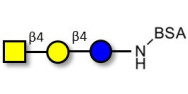 Asialo GM2 Ganglioside oligosaccharide (aGM2) grafted on BSA