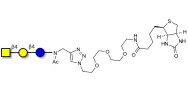Asialo GM2 Ganglioside oligosaccharide (aGM2) linked to biotin (Linker-BT A)
