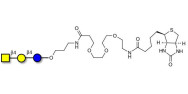 Asialo GM2 Ganglioside oligosaccharide (aGM2) linked to biotin (Linker-BT C)