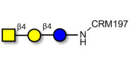 Asialo GM2 Ganglioside oligosaccharide (aGM2) grafted on CRM197